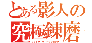 とある影人の究極錬磨（シャドウ・ザ・ヘッジホッグ）