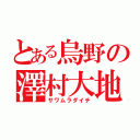 とある烏野の澤村大地（サワムラダイチ）