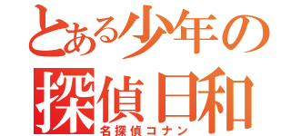 とある少年の探偵日和（名探偵コナン）