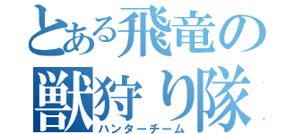 とある飛竜の獣狩り隊（ハンターチーム）