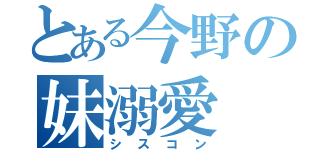 とある今野の妹溺愛（シスコン）