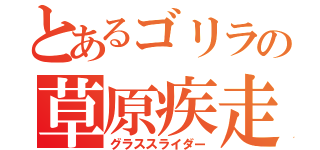 とあるゴリラの草原疾走（グラススライダー）