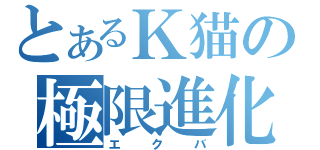 とあるＫ猫の極限進化（エクバ）