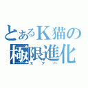 とあるＫ猫の極限進化（エクバ）