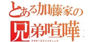 とある加藤家の兄弟喧嘩（ブラザーズファイティング）