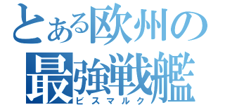 とある欧州の最強戦艦（ビスマルク）