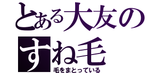 とある大友のすね毛（毛をまとっている）