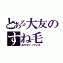 とある大友のすね毛（毛をまとっている）