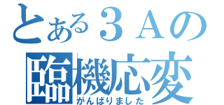 とある３Ａの臨機応変（がんばりました）