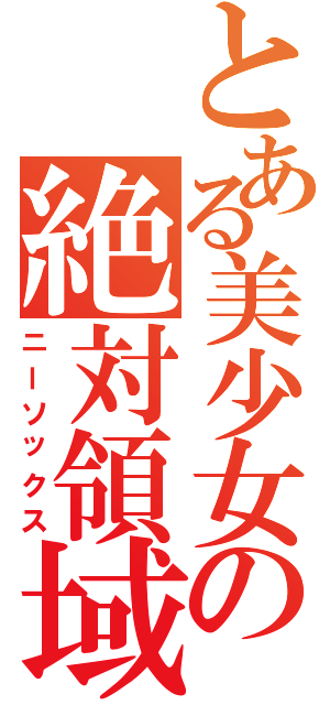 とある美少女の絶対領域Ⅱ（ニーソックス）