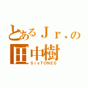 とあるＪｒ．の田中樹（ＳｉｘＴＯＮＥＳ）