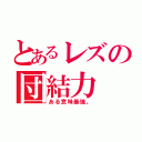 とあるレズの団結力（ある意味最強。）