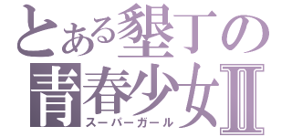 とある墾丁の青春少女Ⅱ（スーパーガール）