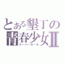 とある墾丁の青春少女Ⅱ（スーパーガール）