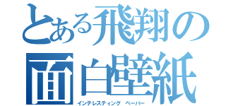 とある飛翔の面白壁紙（インテレスティング ペーパー）