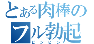 とある肉棒のフル勃起（ビンビン）