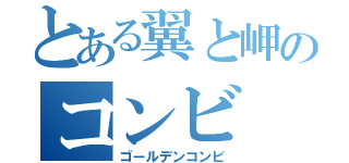 とある翼と岬のコンビ（ゴールデンコンビ）