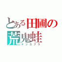 とある田圃の荒鬼蛙（テツカブラ）