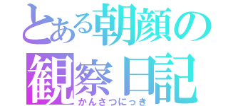 とある朝顔の観察日記（かんさつにっき）