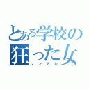 とある学校の狂った女（ツンデレ）