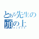 とある先生の頭の上（フッサフサ）