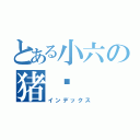 とある小六の猪头（インデックス）