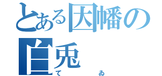 とある因幡の白兎（てゐ）