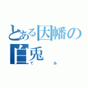 とある因幡の白兎（てゐ）