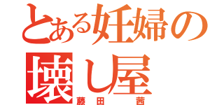 とある妊婦の壊し屋（藤田 茜）