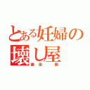 とある妊婦の壊し屋（藤田 茜）