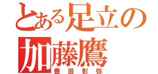 とある足立の加藤鷹（豊田彰弥）