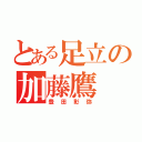 とある足立の加藤鷹（豊田彰弥）