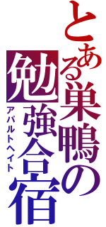 とある巣鴨の勉強合宿（アパルトヘイト）