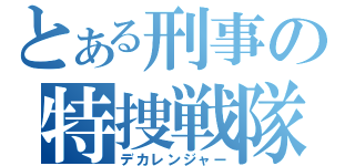 とある刑事の特捜戦隊（デカレンジャー）