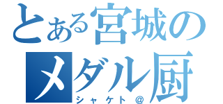 とある宮城のメダル厨（シャケト＠）