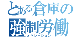 とある倉庫の強制労働（オペレーション）