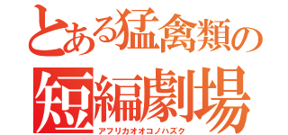 とある猛禽類の短編劇場（アフリカオオコノハズク）