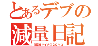 とあるデブの減量日記（目指せマイナス２０キロ）