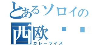 とあるソロイの西欧咖喱飯（カレーライス）