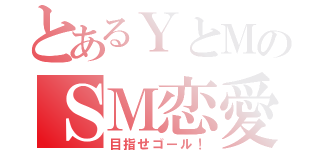 とあるＹとＭのＳＭ恋愛（目指せゴール！）