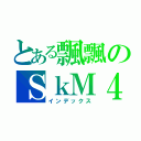 とある飄飄のＳｋＭ４（インデックス）