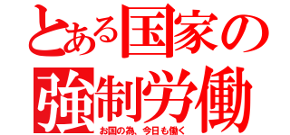 とある国家の強制労働（お国の為、今日も働く）