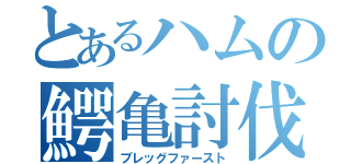 とあるハムの鰐亀討伐（ブレッグファースト）