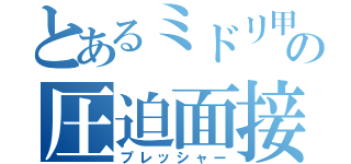 とあるミドリ甲羅の圧迫面接（プレッシャー）