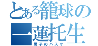 とある籠球の一蓮托生（黒子のバスケ）