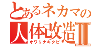 とあるネカマの人体改造記Ⅱ（オワリナキタビ）