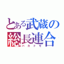 とある武蔵の総長連合（バカドモ）