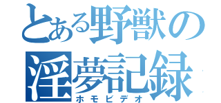 とある野獣の淫夢記録（ホモビデオ）