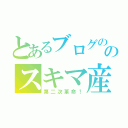 とあるブログののスキマ産業（第二次革命！）