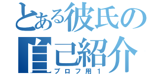 とある彼氏の自己紹介（プロフ用１）